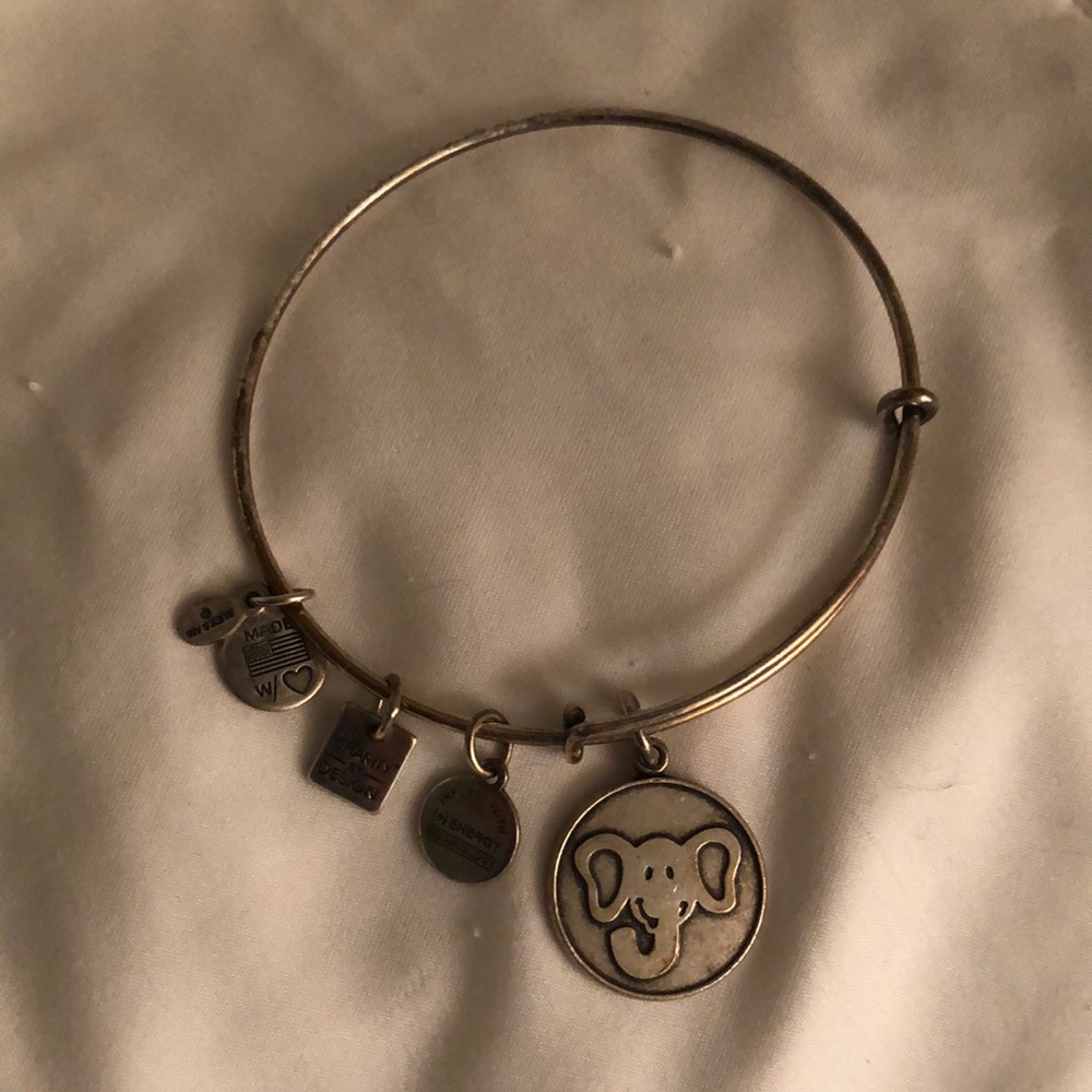 Alex and ani bangle